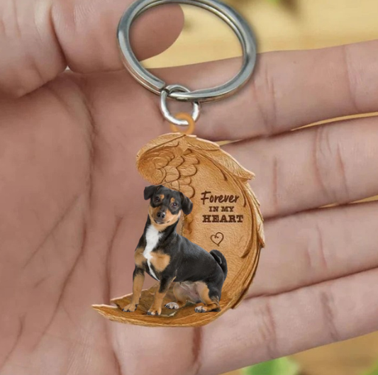 Jack Russel 3 | Na Zawsze w Moim Sercu