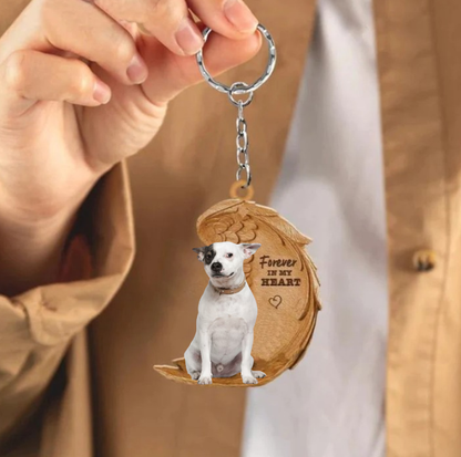 Jack Russel 4 | Na Zawsze w Moim Sercu