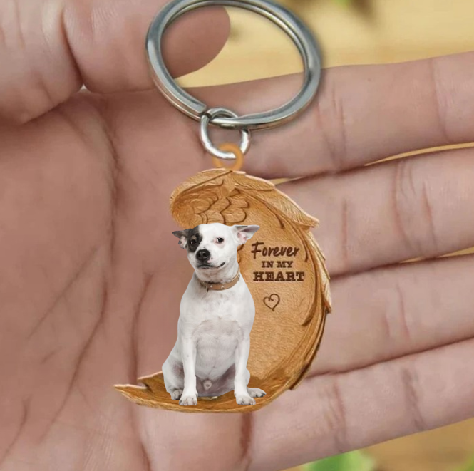 Jack Russel 4 | Na Zawsze w Moim Sercu
