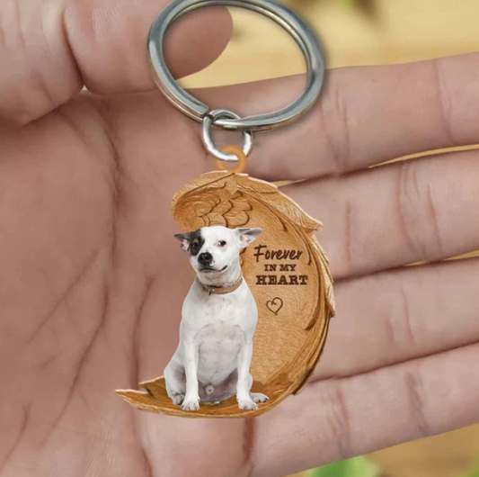 Jack Russel 4 | Na Zawsze w Moim Sercu