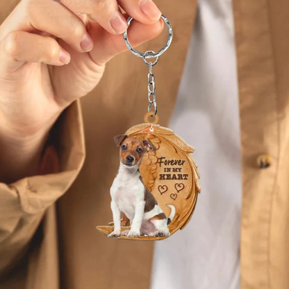 Jack Russel 5 | Na Zawsze w Moim Sercu