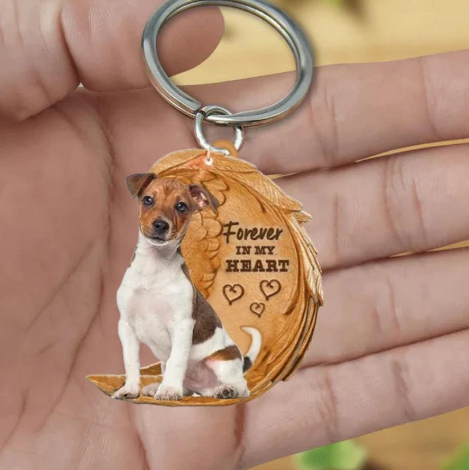 Jack Russel 5 | Na Zawsze w Moim Sercu