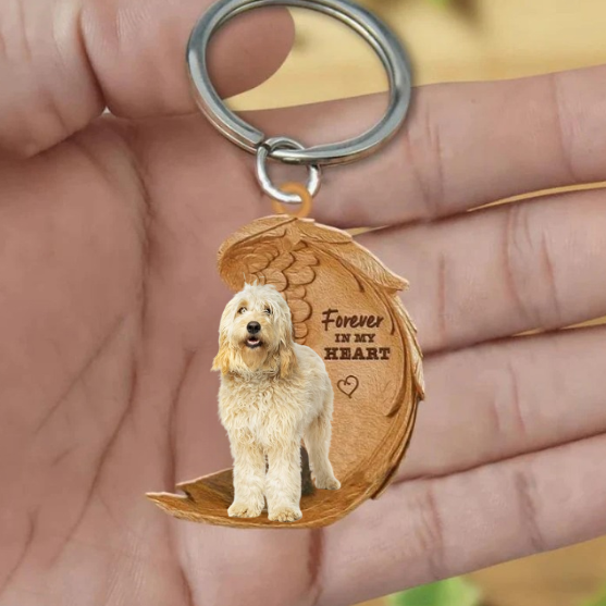 Labradoodle | Na Zawsze w Moim Sercu