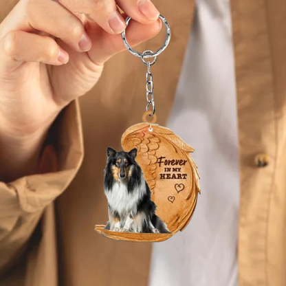 Długowłosy Collie (Rough Collie) | Na Zawsze w Moim Sercu