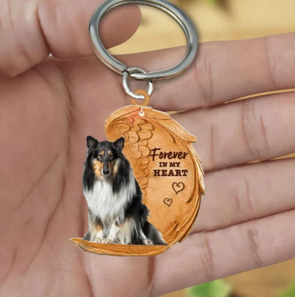 Długowłosy Collie (Rough Collie) | Na Zawsze w Moim Sercu