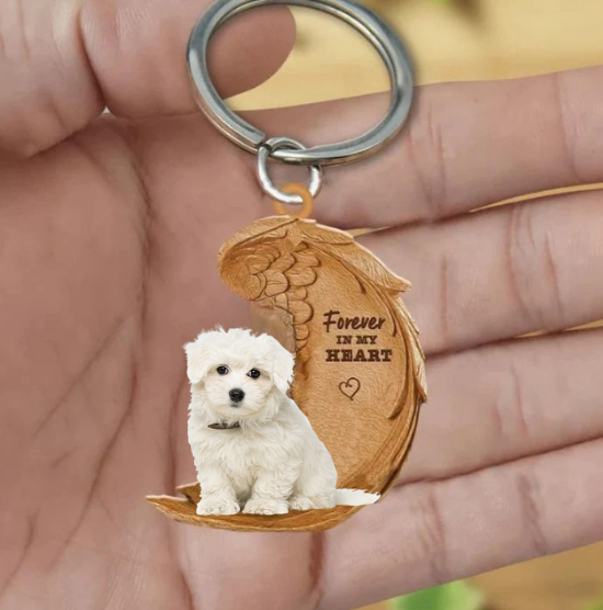 Maltese 2 | Na Zawsze w Moim Sercu