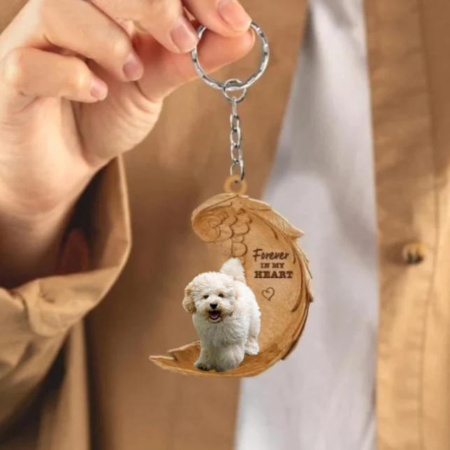 Maltipoo 2 | Na Zawsze w Moim Sercu
