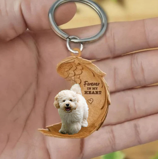 Maltipoo 2 | Na Zawsze w Moim Sercu