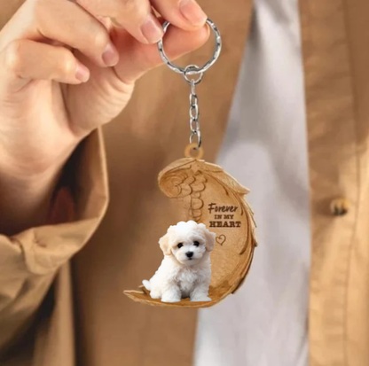 Maltipoo 3 | Na Zawsze w Moim Sercu