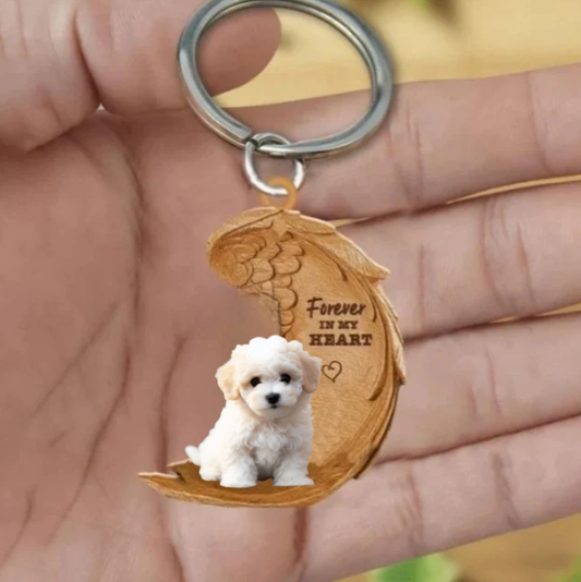 Maltipoo 3 | Na Zawsze w Moim Sercu