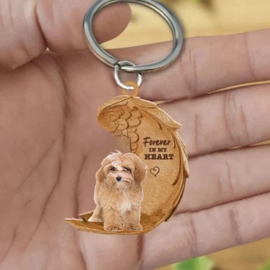 Maltipoo | Na Zawsze w Moim Sercu
