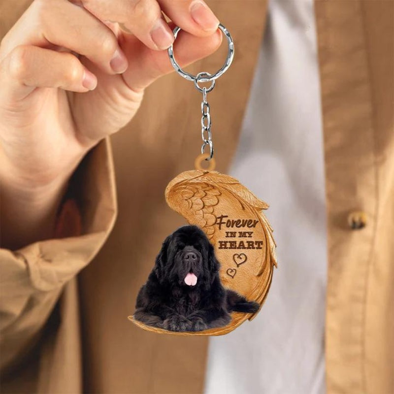 Nowofundland Hond | Na Zawsze w Moim Sercu