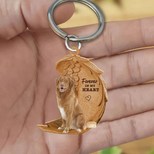 Nova Scotia duck tolling retriever | Na Zawsze w Moim Sercu