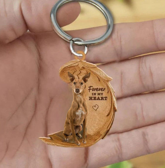 Podenco | Na Zawsze w Moim Sercu