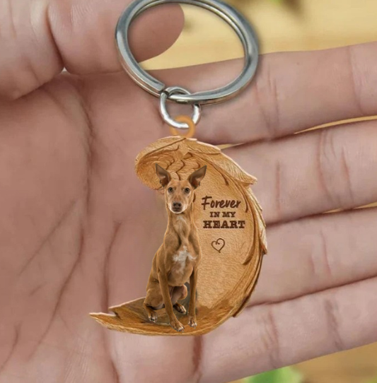 Podenco | Na Zawsze w Moim Sercu