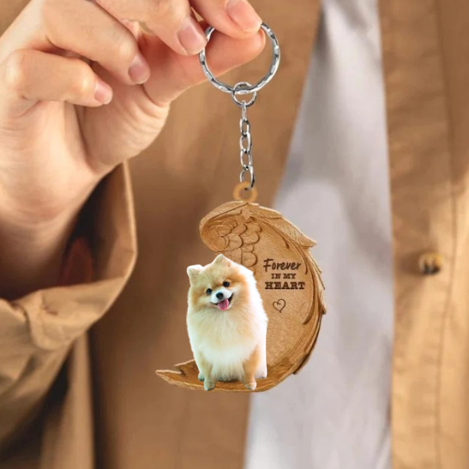 Pomchi | Na Zawsze w Moim Sercu