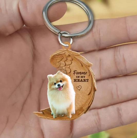 Pomchi | Na Zawsze w Moim Sercu