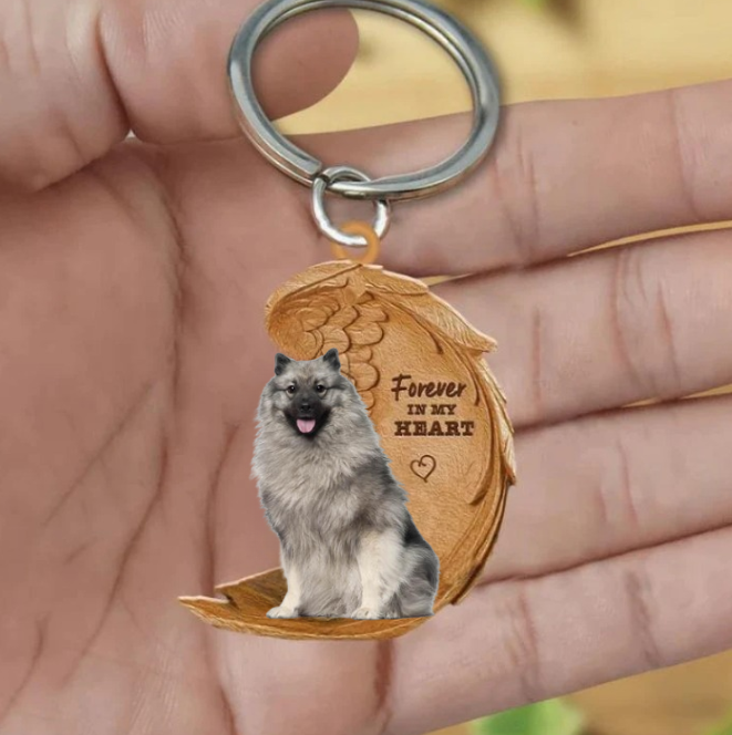 Pomeranian keeshond 2 | Na Zawsze w Moim Sercu