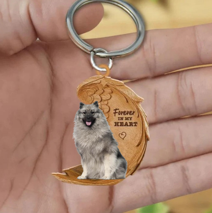 Pomeranian keeshond 2 | Na Zawsze w Moim Sercu