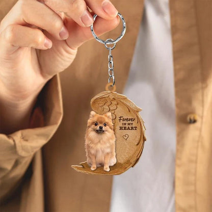 Pomeranian keeshond | Na Zawsze w Moim Sercu