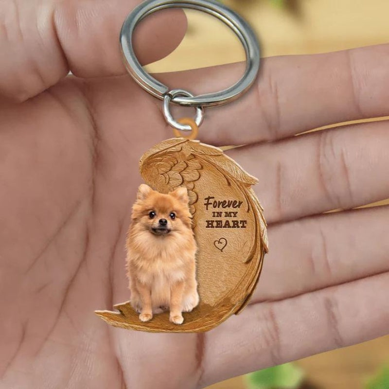 Pomeranian keeshond | Na Zawsze w Moim Sercu