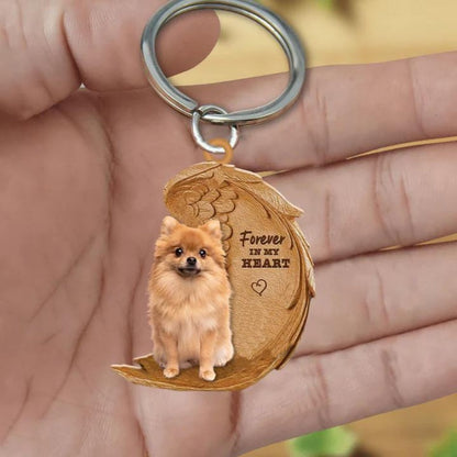 Pomeranian keeshond | Na Zawsze w Moim Sercu