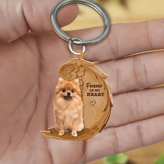 Pomeranian keeshond | Na Zawsze w Moim Sercu