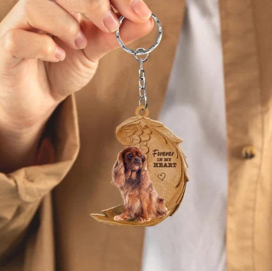 Ruby Cavalier King Charles | Na Zawsze w Moim Sercu