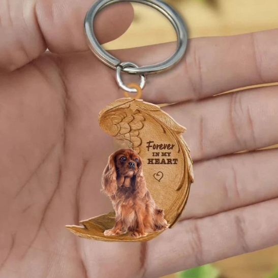 Ruby Cavalier King Charles | Na Zawsze w Moim Sercu