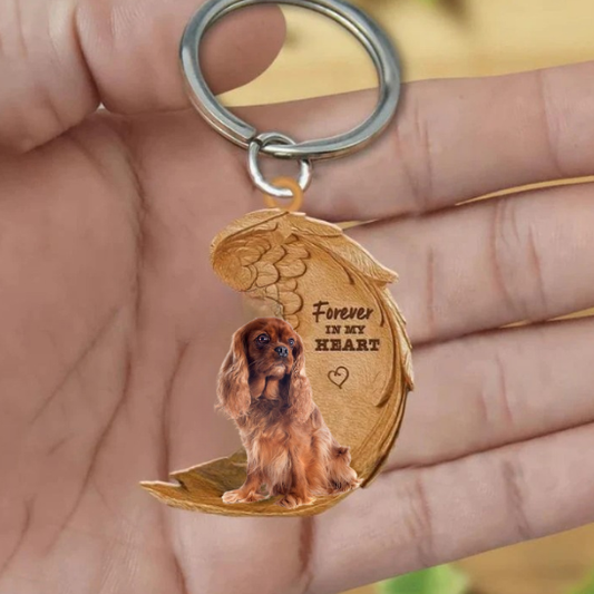 Ruby Cavalier King Charles | Na Zawsze w Moim Sercu