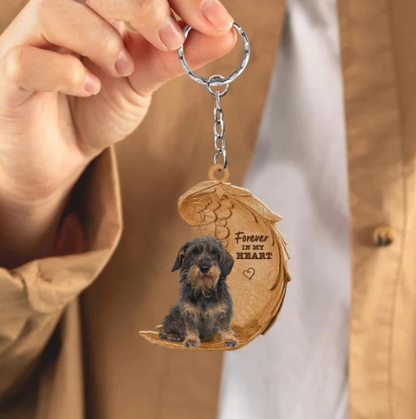Ruwhaar Teckel Dachshund | Na Zawsze w Moim Sercu