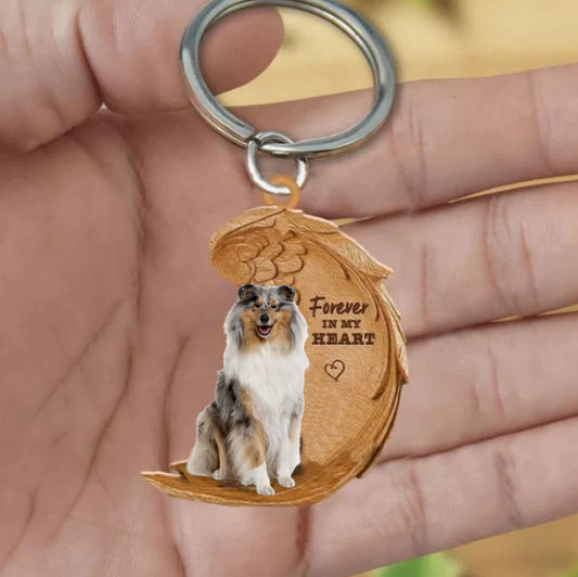 Szkocki collie Tricolor | Na Zawsze w Moim Sercu