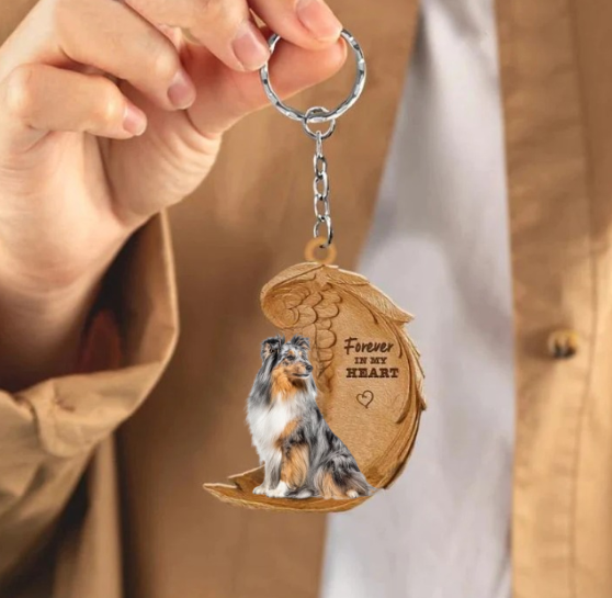 Sheltie Blue Merle | Na Zawsze w Moim Sercu