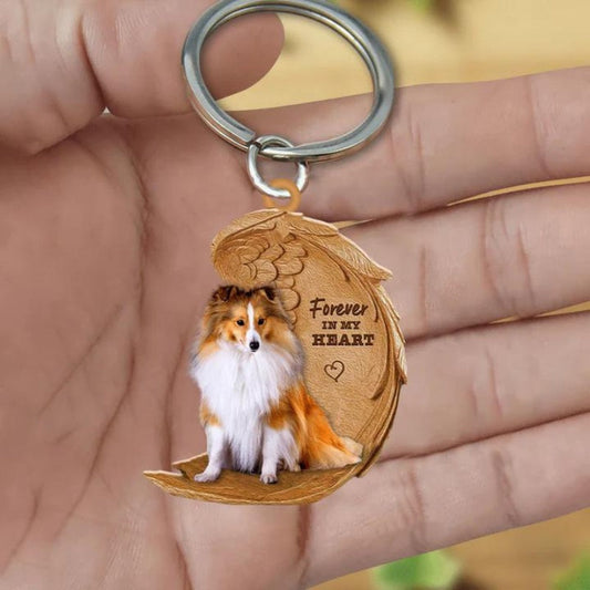 Sheltie | Na Zawsze w Moim Sercu