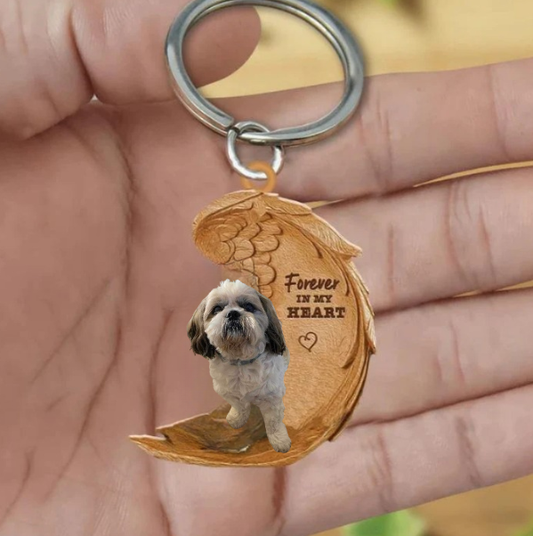 Shih tzu 10 | Na Zawsze w Moim Sercu