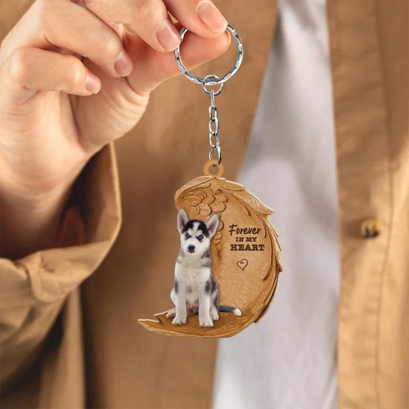 Siberian Husky | Na Zawsze w Moim Sercu