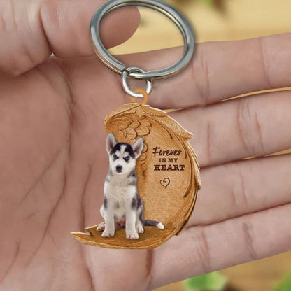 Siberian Husky | Na Zawsze w Moim Sercu