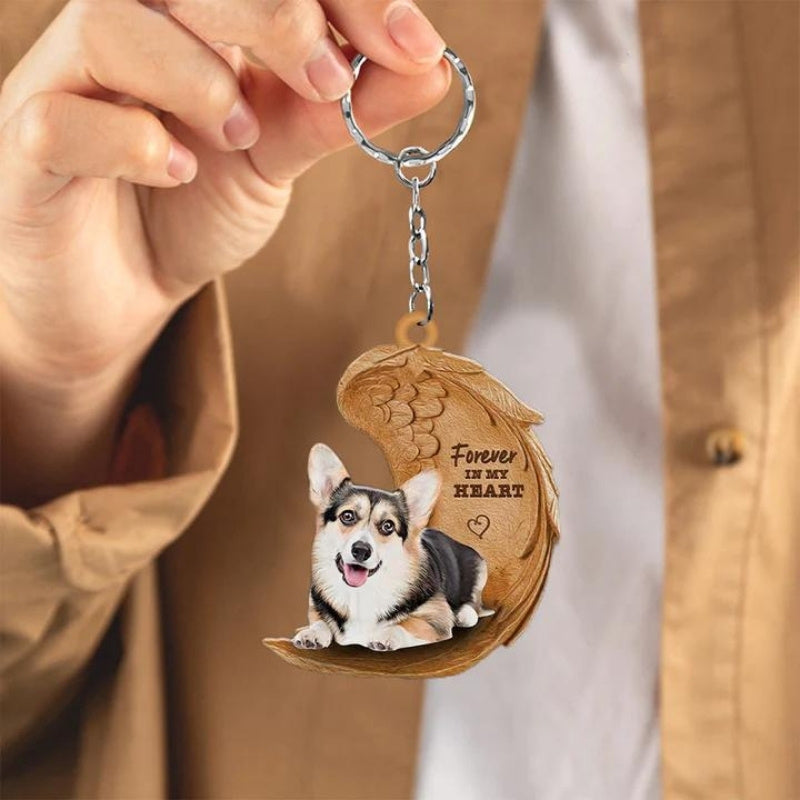 Trikolorowy Corgi | Na Zawsze w Moim Sercu