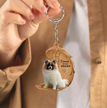 Trójkolorowy Pomeranian Keeshond | Na Zawsze w Moim Sercu