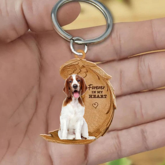 Welsh springer spaniel | Na Zawsze w Moim Sercu