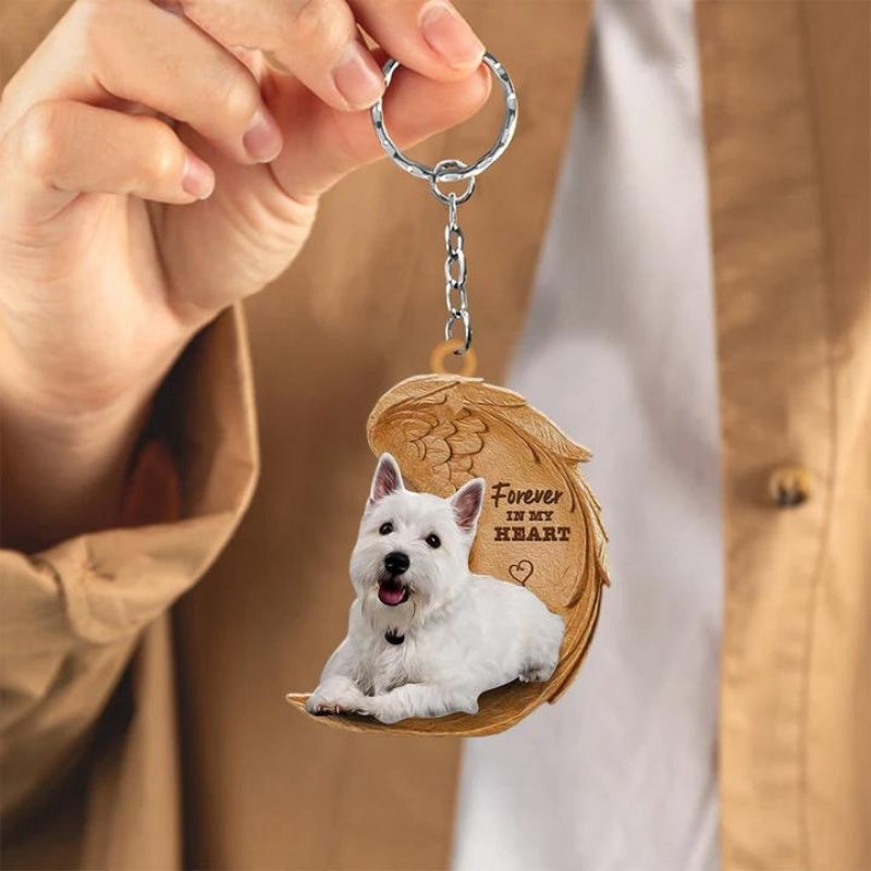 West Highland Witte Terrier | Na Zawsze w Moim Sercu