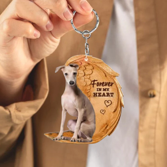 Whippet  | Na Zawsze w Moim Sercu