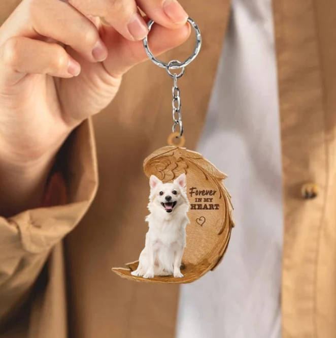 Biały Chihuahua | Na Zawsze w Moim Sercu