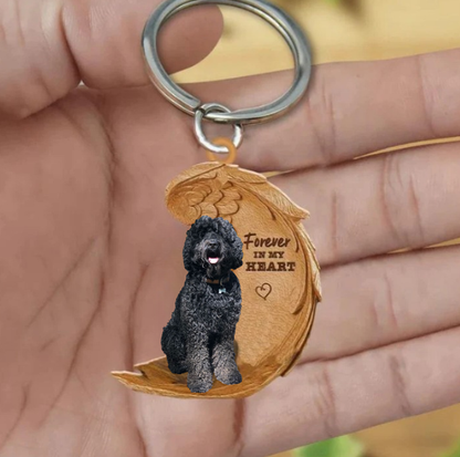 Czarny Labradoodle | Na Zawsze w Moim Sercu
