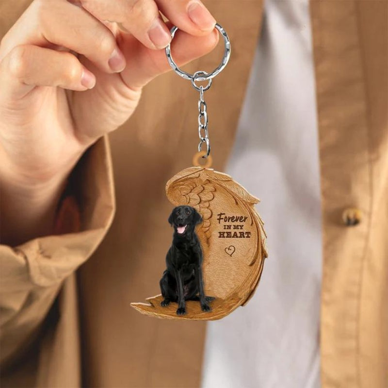 Czarny Labrador Retriever | Na Zawsze w Moim Sercu
