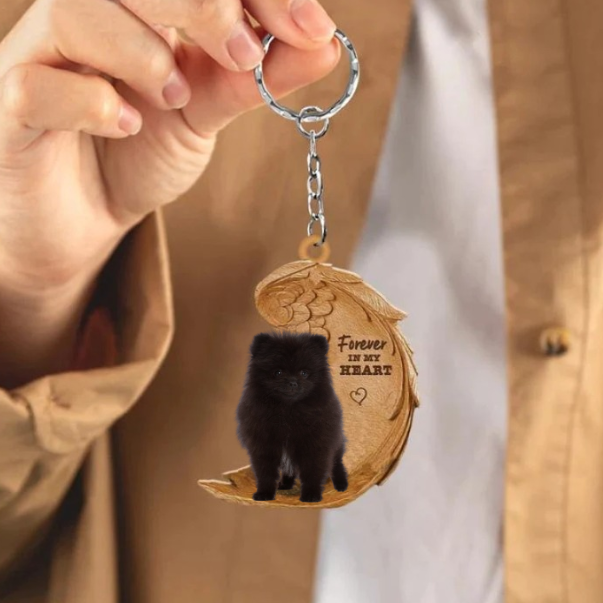 Czarny Pomeranian keeshond | Na Zawsze w Moim Sercu