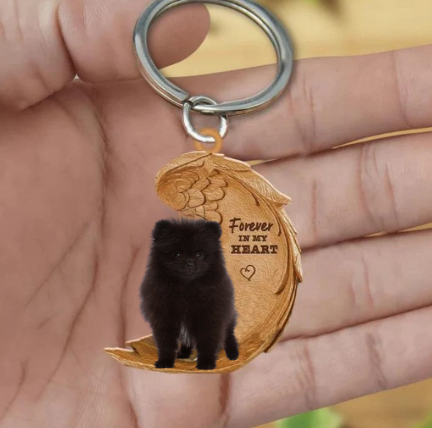 Czarny Pomeranian keeshond | Na Zawsze w Moim Sercu