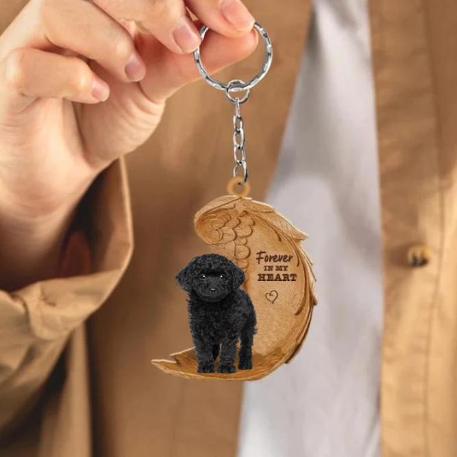 Czarny Toy Poodle 2 | Na Zawsze w Moim Sercu
