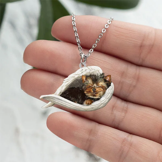 Echte Liefde | Slapende Yorkshire terrier Ketting