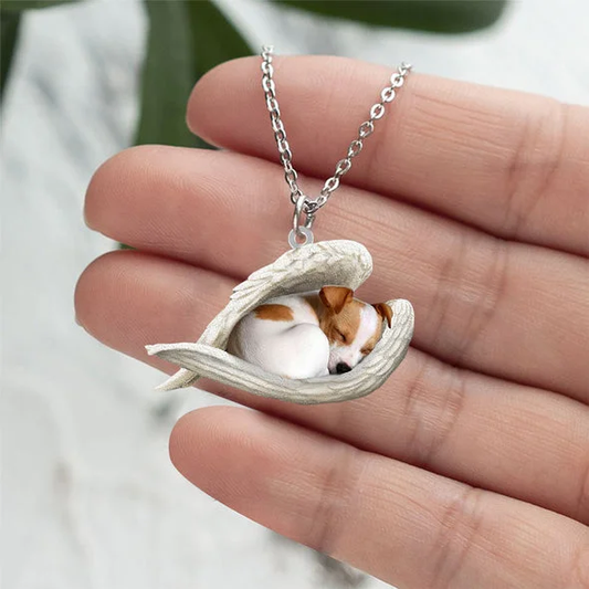 Echte Liefde | Slapende Jack Russell Ketting